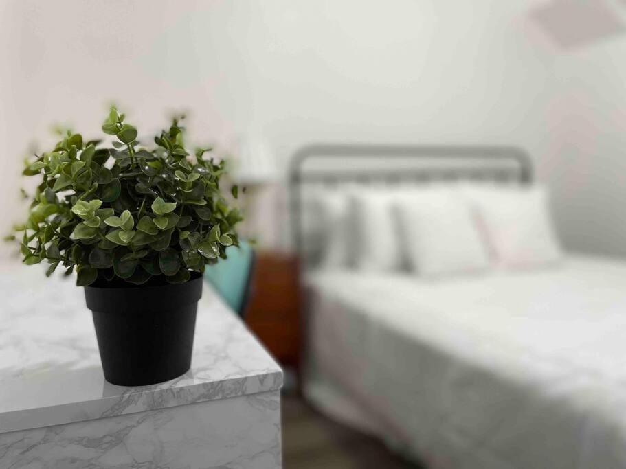 Sleeps 3, Cozy, Boho Style, In The Heart Of Miami -Free Parking Apartment Exterior photo